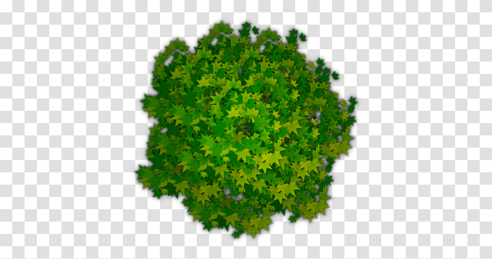 Tree Top View Photoshop Picture Tree From Top Background, Leaf, Plant, Green, Game Transparent Png