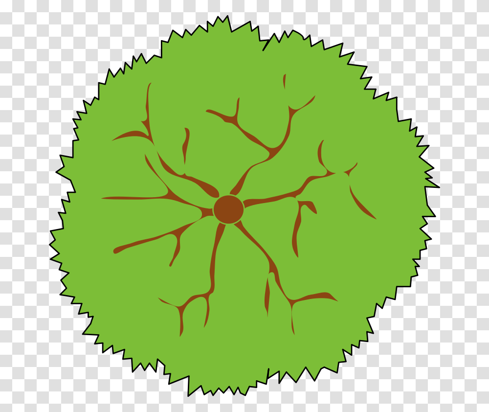 Tree Top View Symbol, Plant, Flower, Blossom, Leaf Transparent Png