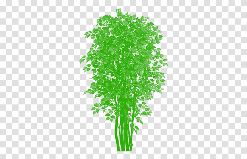 Tree Top View Tree Clipart Plan Artificial Plant Plants Balcony, Green, Silhouette, Leaf, Texture Transparent Png