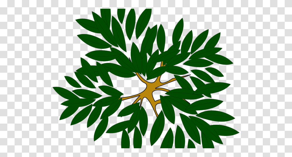 Tree Top View Tree Top View Icon, Leaf, Plant, Flower, Blossom Transparent Png