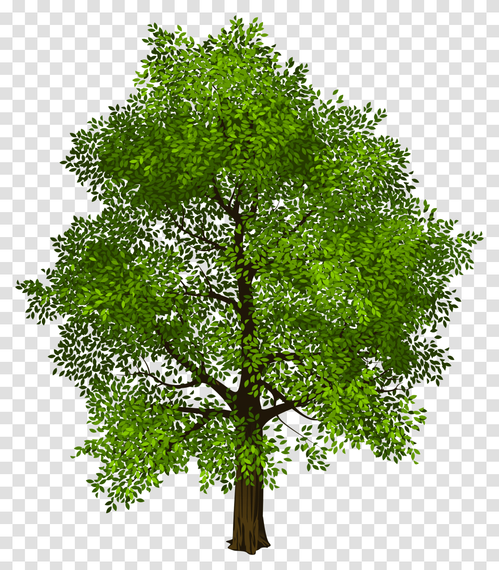 Tree Transparency And Translucency Clip Art Green Tree Background Transparent Png