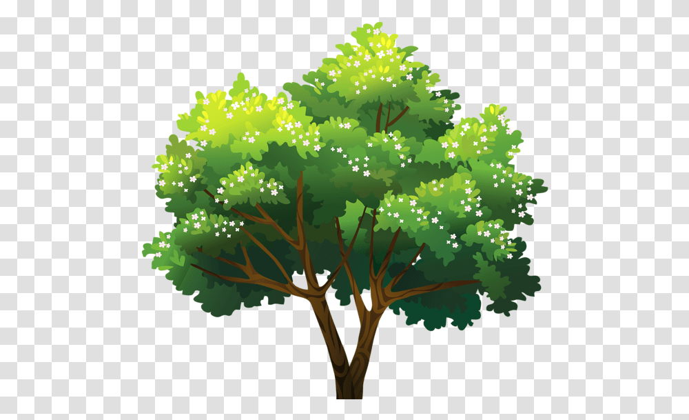 Tree Tree, Plant, Pattern, Bush, Vegetation Transparent Png