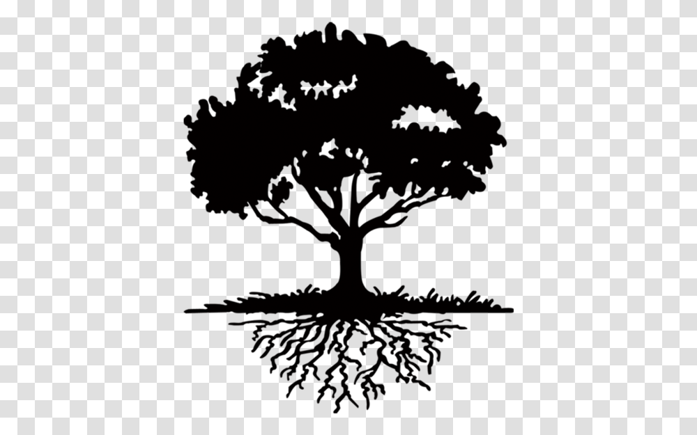 Tree Tree With Roots Silhouette, Outdoors, Nature, Astronomy, Outer Space Transparent Png