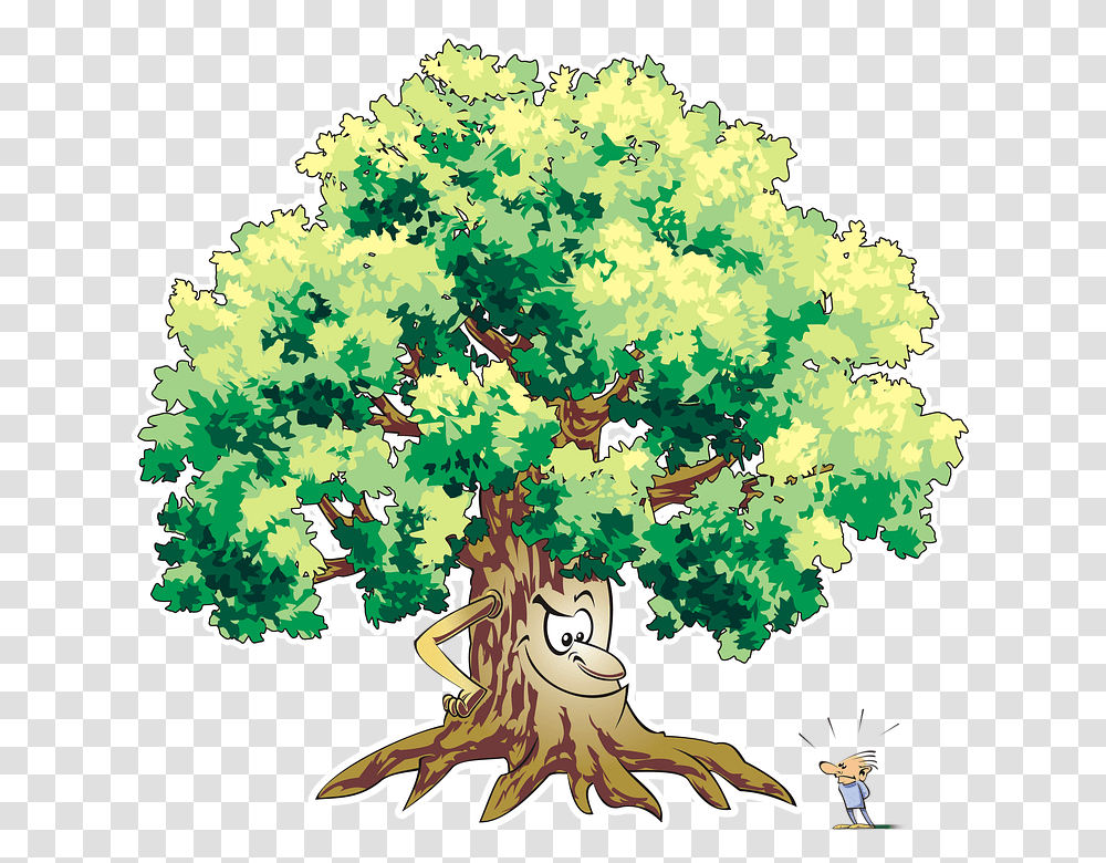 Tree Trees Forest Vegetation Adobe Adobe Photoshop Tree, Plant, Oak, Root, Sycamore Transparent Png