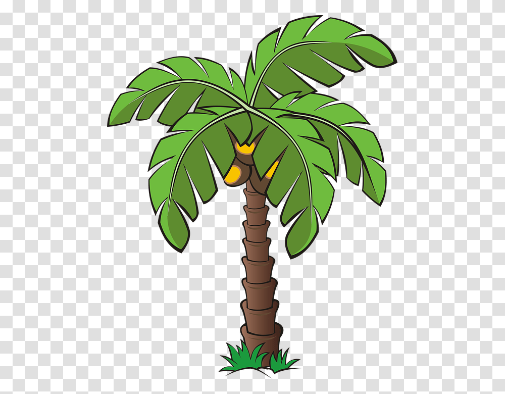 Tree Trees Palm Dates Date Palm Forest Vegetation Date Palm Tree Cartoon, Plant, Leaf, Arecaceae, Food Transparent Png