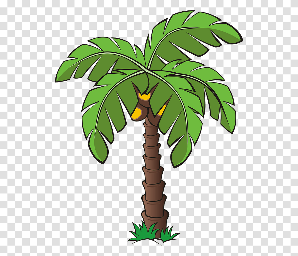Tree Trees Palm Free Image On Pixabay Date Tree Clip Art, Plant, Leaf, Palm Tree, Arecaceae Transparent Png