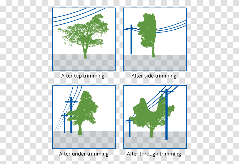 Tree Trimming Examples Tree, Collage, Poster, Advertisement, Plant Transparent Png