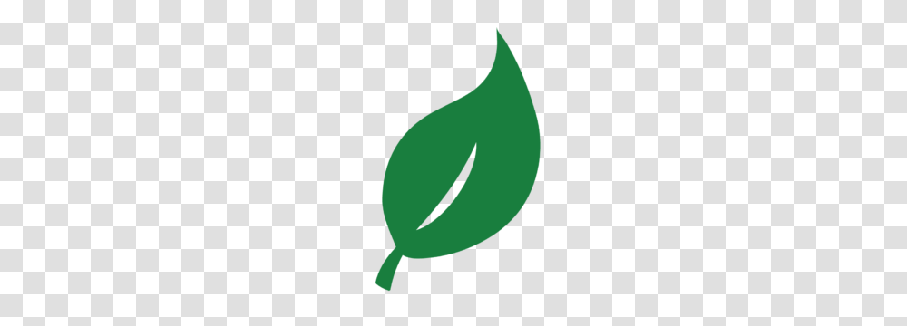Tree Trimming Services, Plant, Green, Seed, Grain Transparent Png