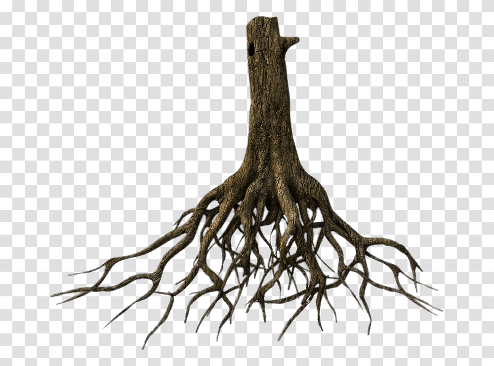 Tree Trunk And Roots Tree Roots Background, Plant, Giraffe, Wildlife, Mammal Transparent Png