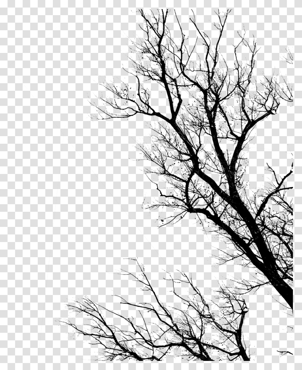 Tree Trunk Dead By Daylight, Gray, World Of Warcraft Transparent Png
