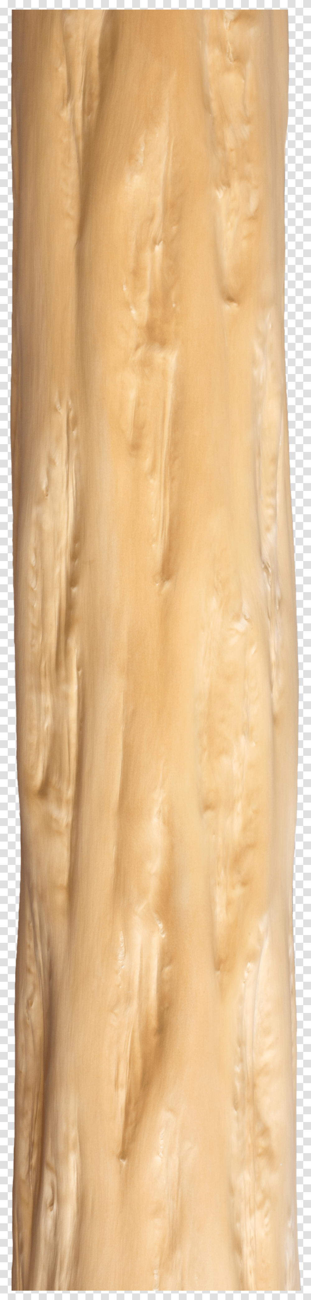 Tree Trunk Over The Bark Of The Treetree Trunk Plywood Transparent Png
