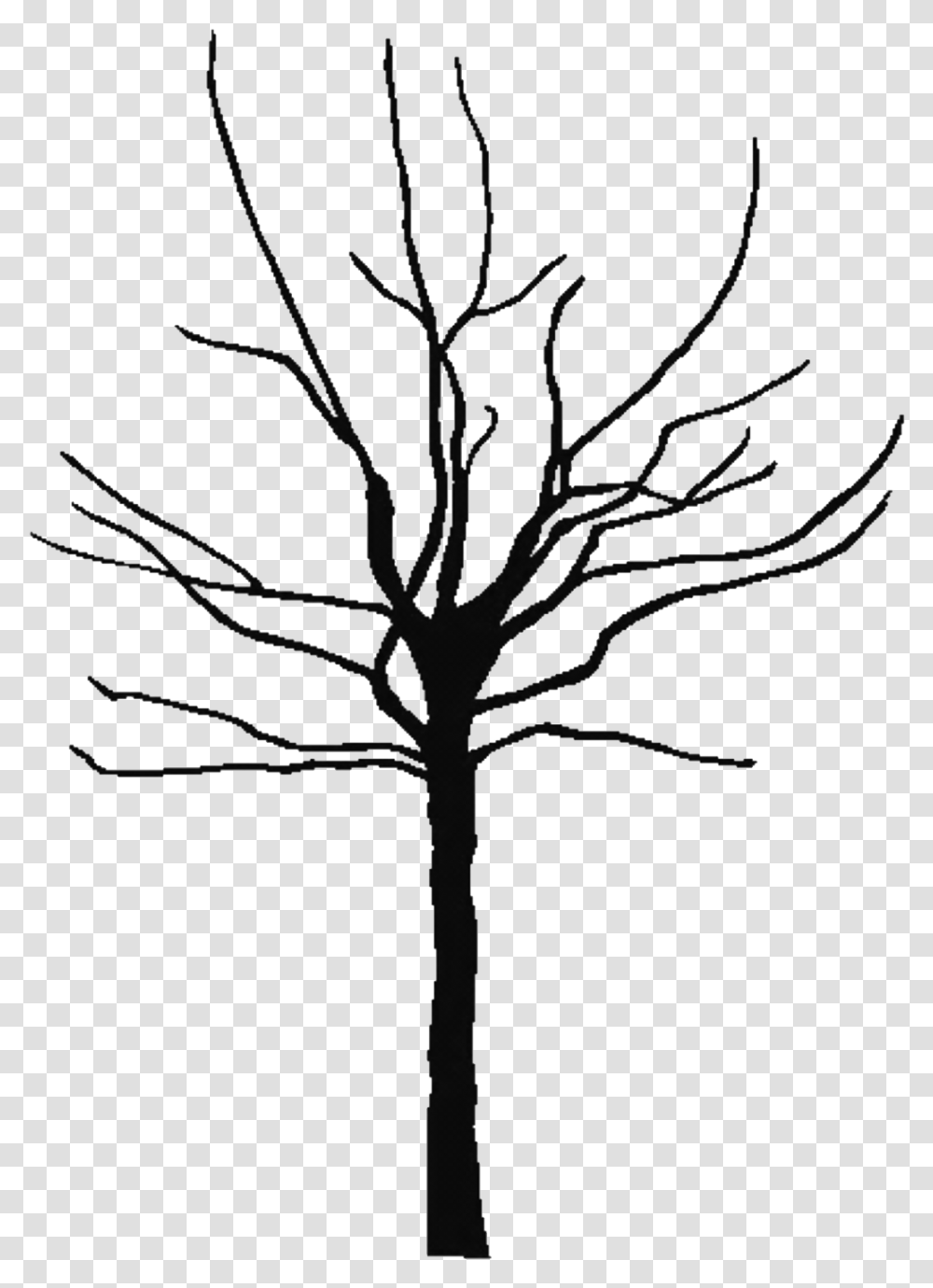 Tree Trunk Silhouette, Plant, Cross, Maple Transparent Png