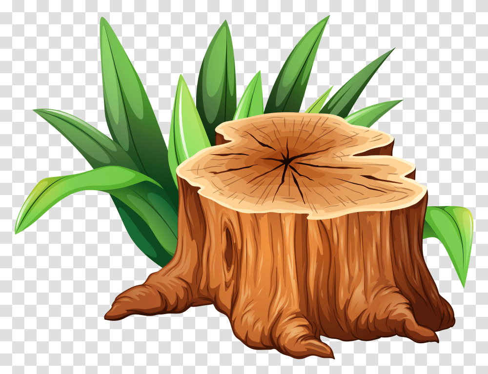 Tree Trunk Tree Stump Clipart, Fungus Transparent Png