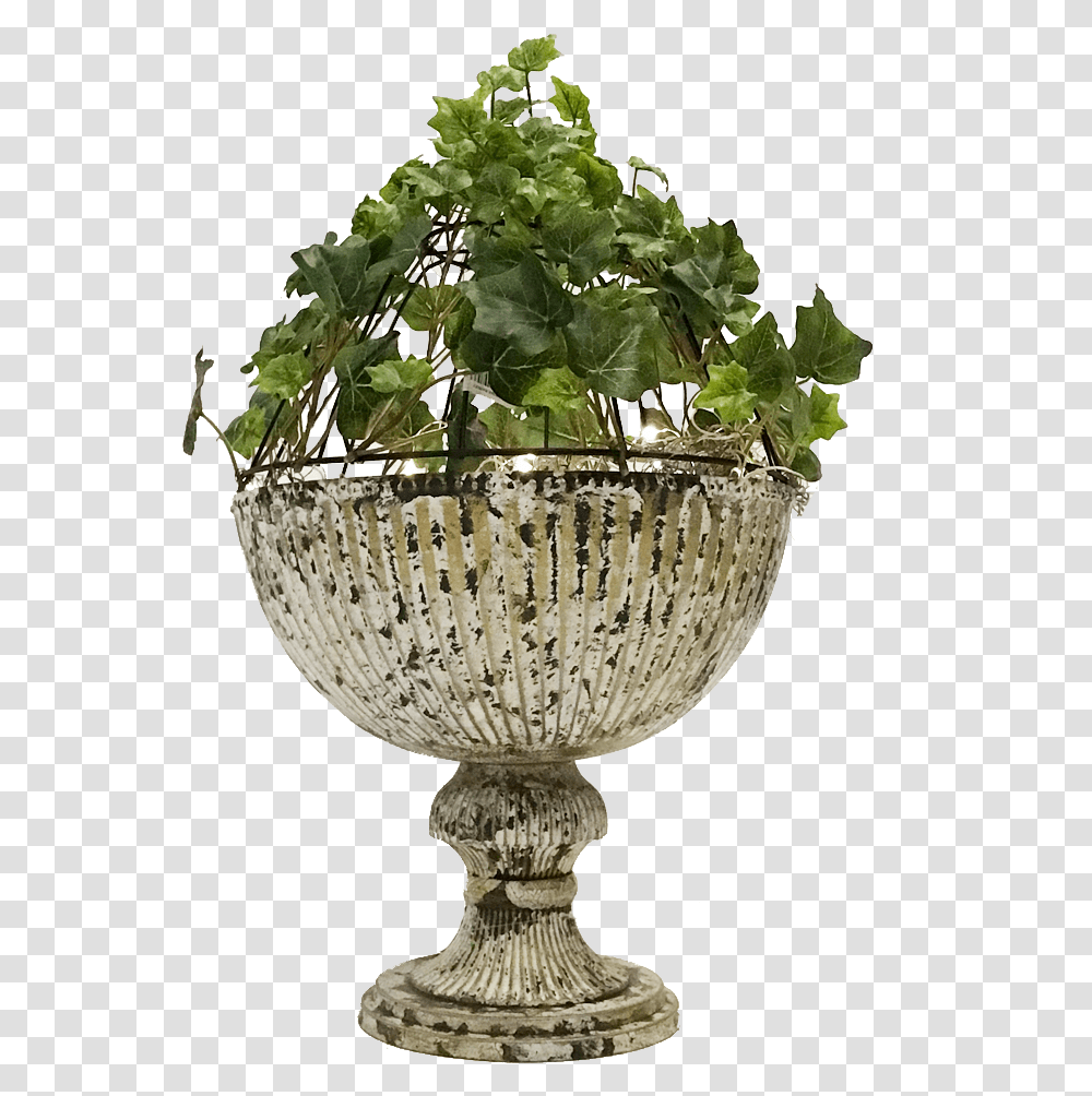 Tree Vase, Lamp, Plant, Glass, Goblet Transparent Png
