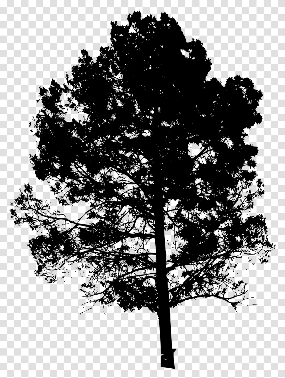 Tree Vector, Gray, World Of Warcraft Transparent Png