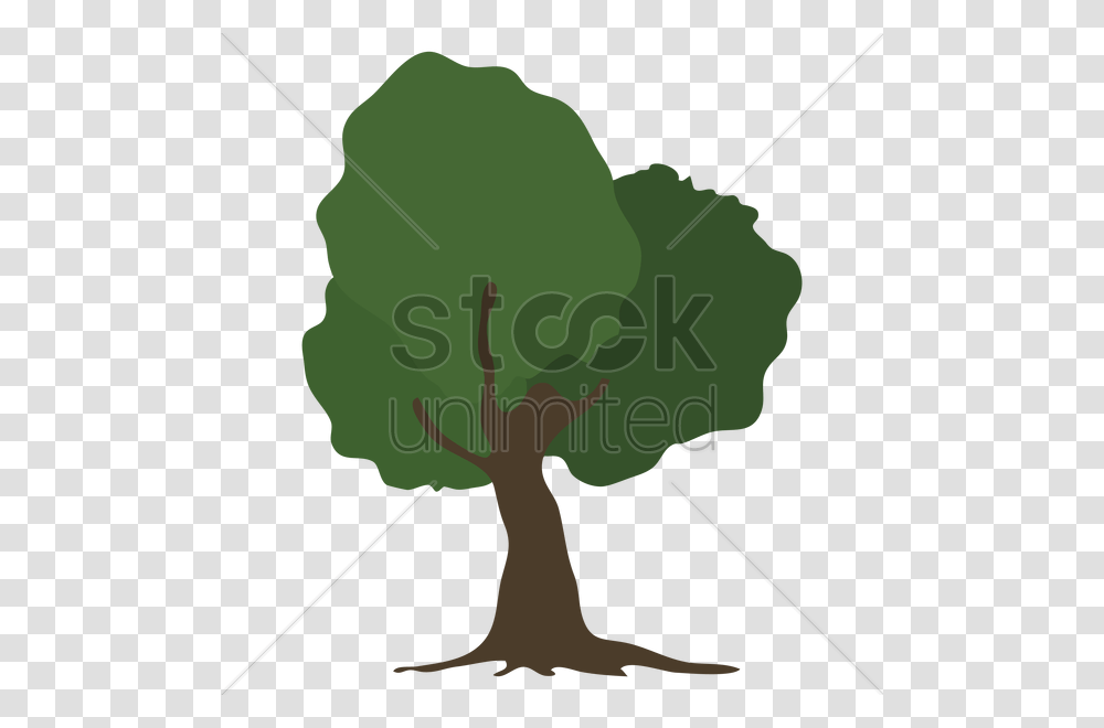 Tree Vector Image, Bow, Plant, Leaf, Animal Transparent Png