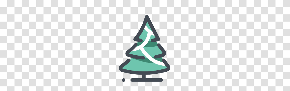 Tree Vector Image, Plant, Fir, Abies, Triangle Transparent Png