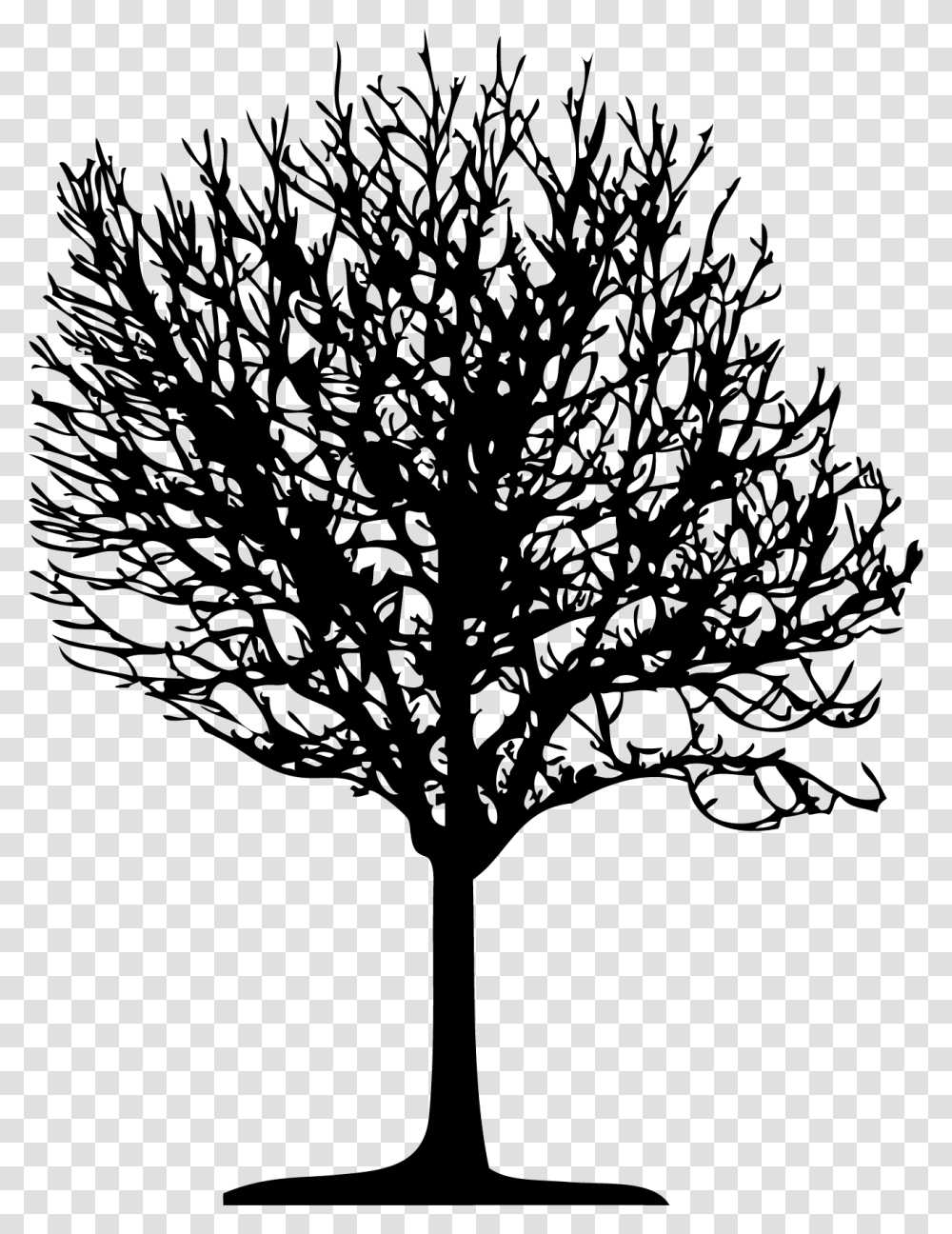 Tree Vector, Lamp, Stencil, Plant, Silhouette Transparent Png