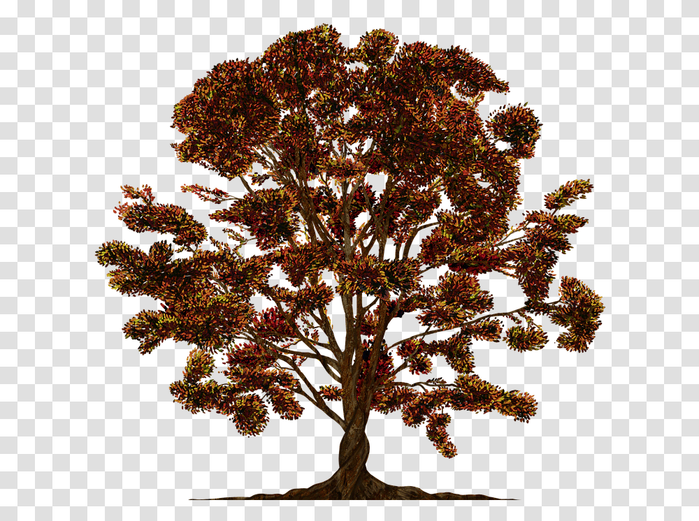 Tree Vector Ornament Color Family Tree Texture Family Tree, Plant, Potted Plant, Vase, Jar Transparent Png