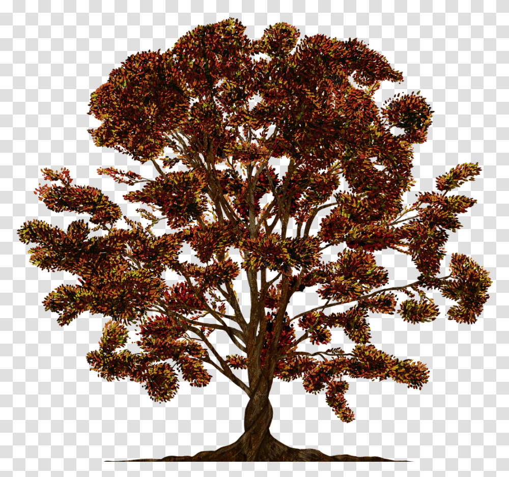Tree Vector Ornament Free Image On Pixabay Family Tree Vector, Plant, Potted Plant, Vase, Jar Transparent Png