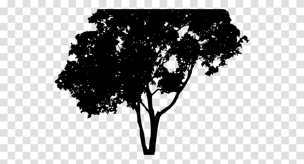 Tree Vector Tree Silhouette, Nature, Outdoors Transparent Png