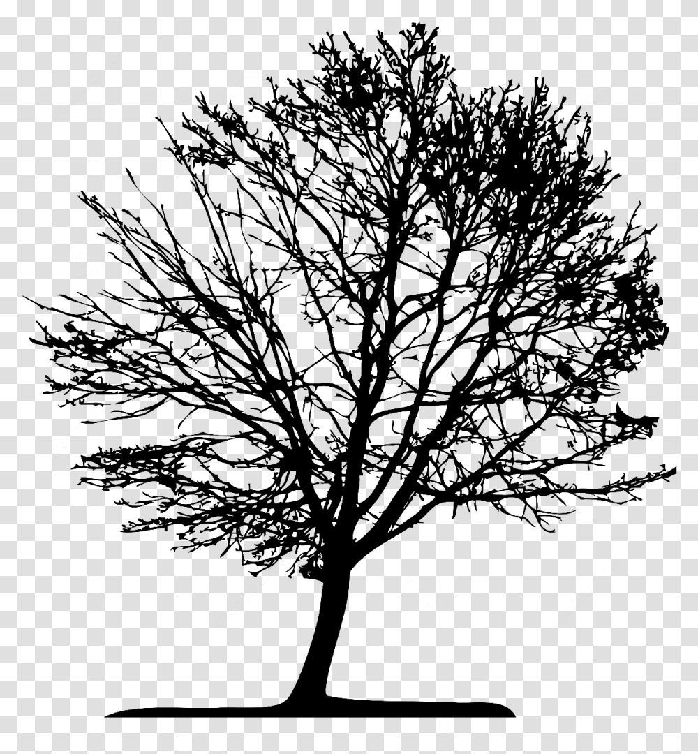 Tree Vector Tree Vector, Nature, Outdoors, Night, Fireworks Transparent Png