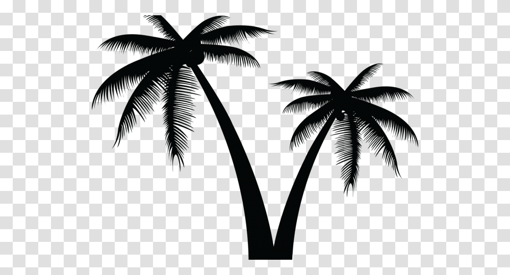 Tree Vector Vector Palm Tree, Nature, Outdoors, Night, Moon Transparent Png