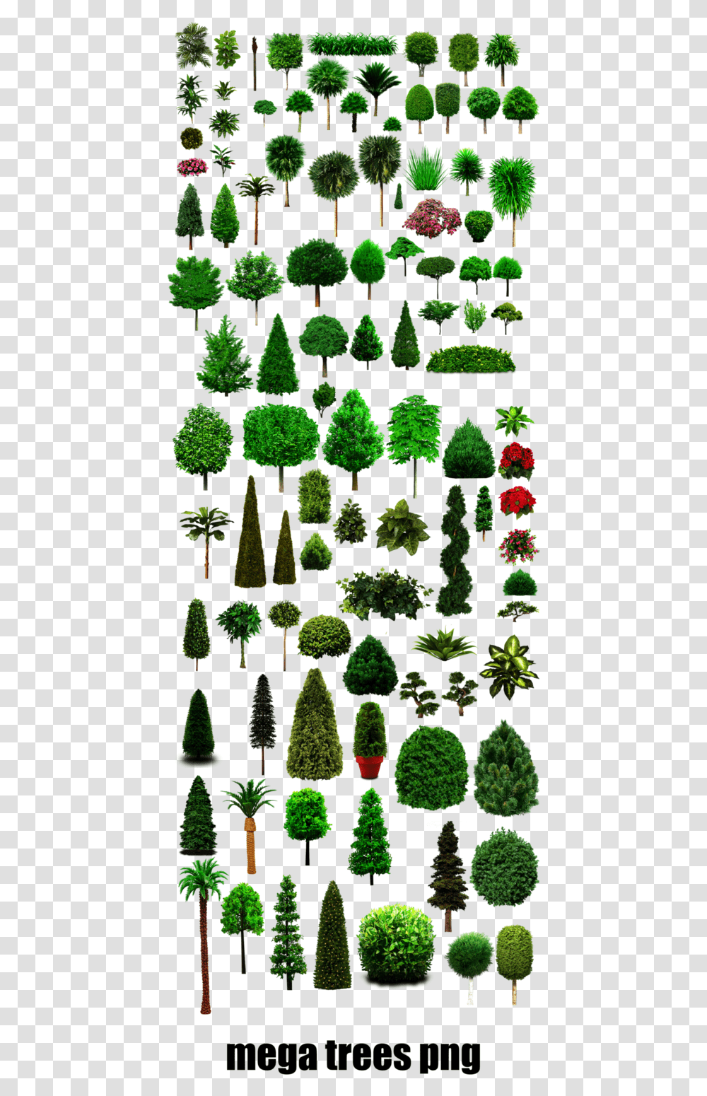 Tree, Vegetation, Plant, Green, Bush Transparent Png