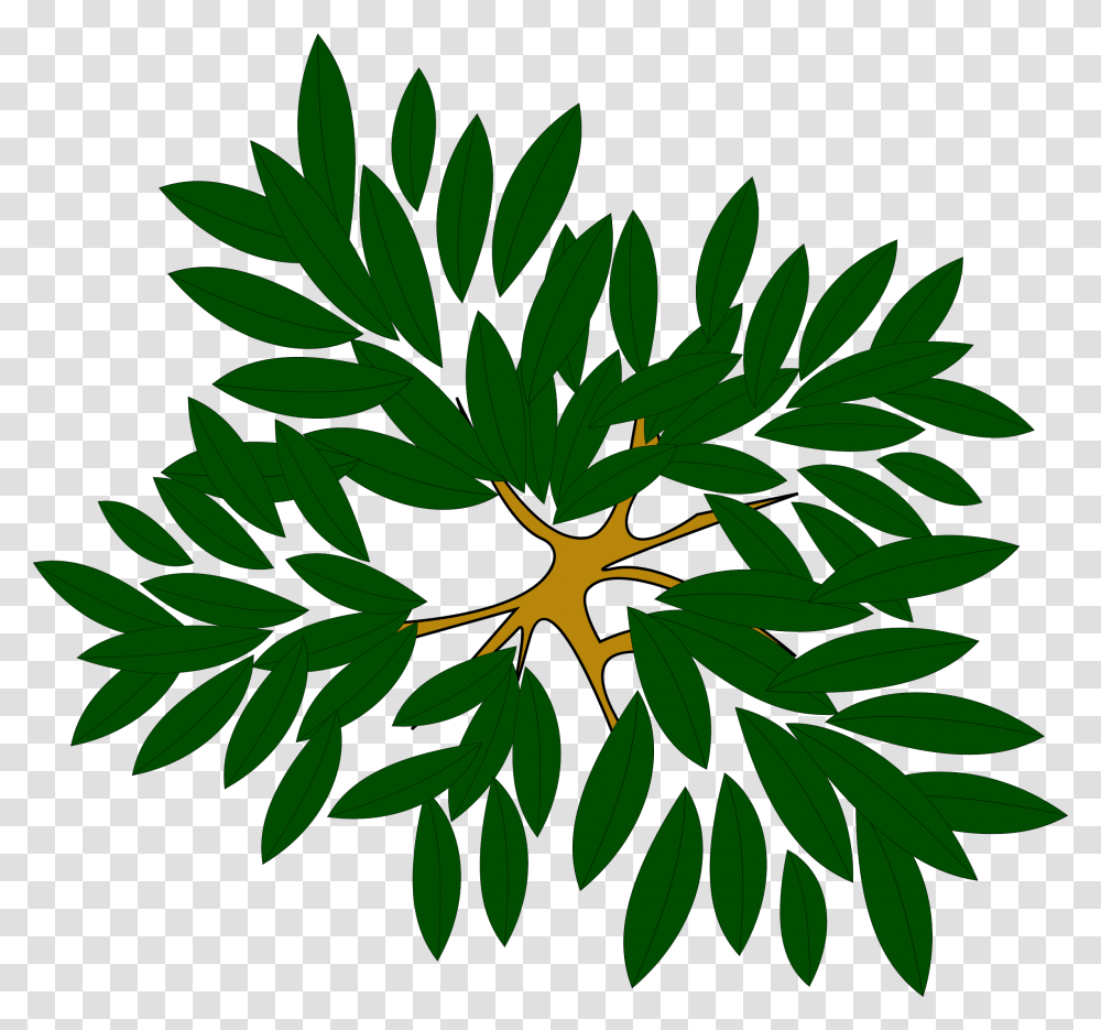 Tree View Clipart Top, Leaf, Plant, Flower, Blossom Transparent Png