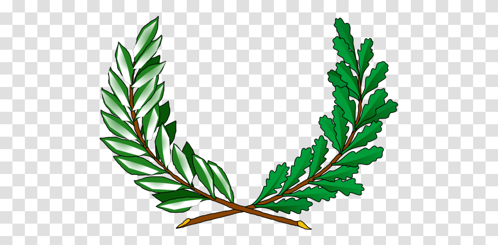 Tree Vines Svg Clip Art For Web Peace Coat Of Arms, Leaf, Plant, Conifer, Green Transparent Png