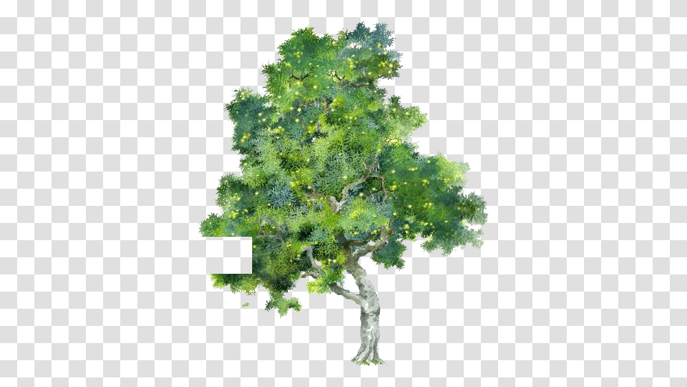 Tree Watercolor Painting Tree Water Color, Plant, Potted Plant, Vase, Jar Transparent Png