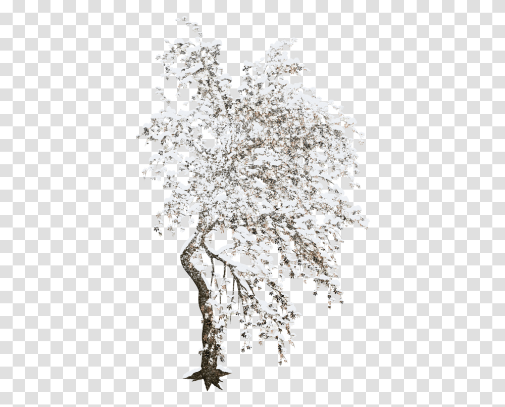 Tree Winter Clip Art Clip Art, Plant, Flower, Rug, Bush Transparent Png