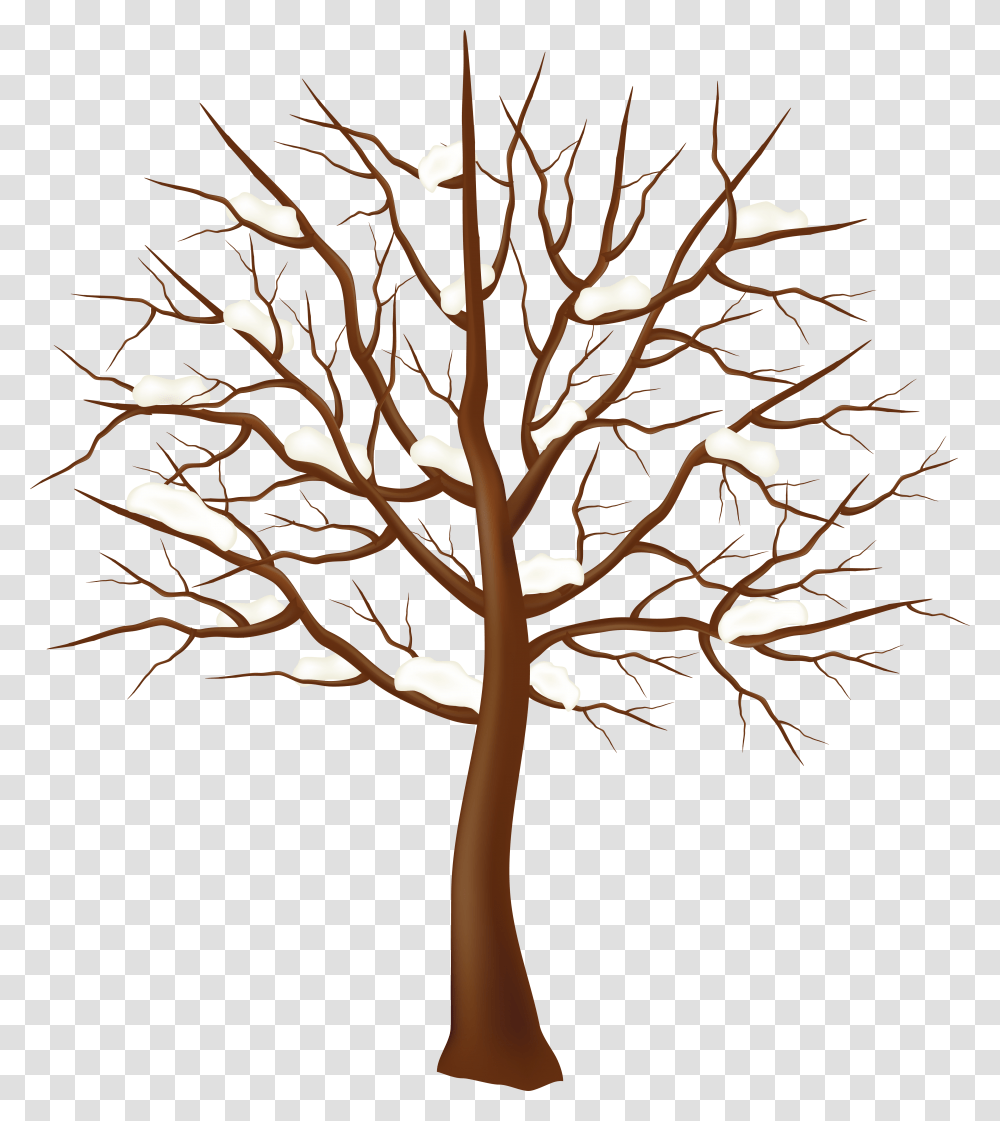 Дерево клен без листьев