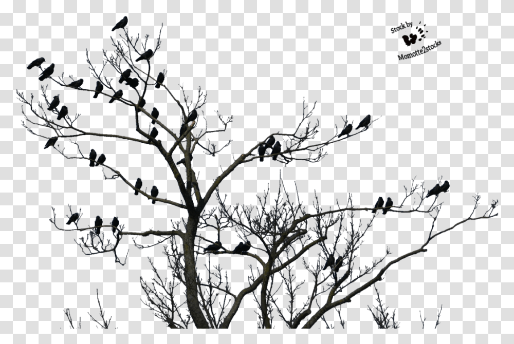 Tree With Bird Clip Art Stock Good Evening Happy Sunday, Nature, Outdoors, Moon, Outer Space Transparent Png