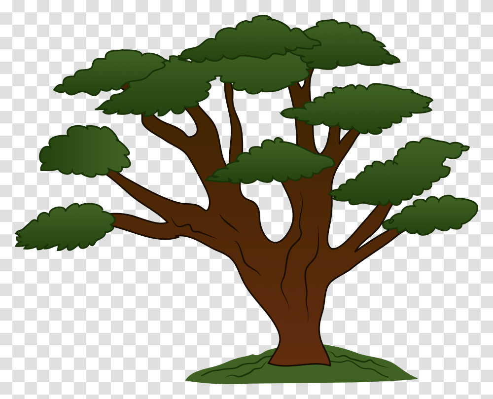 Tree With Branches Cartoon, Plant, Produce, Food, Vegetable Transparent Png