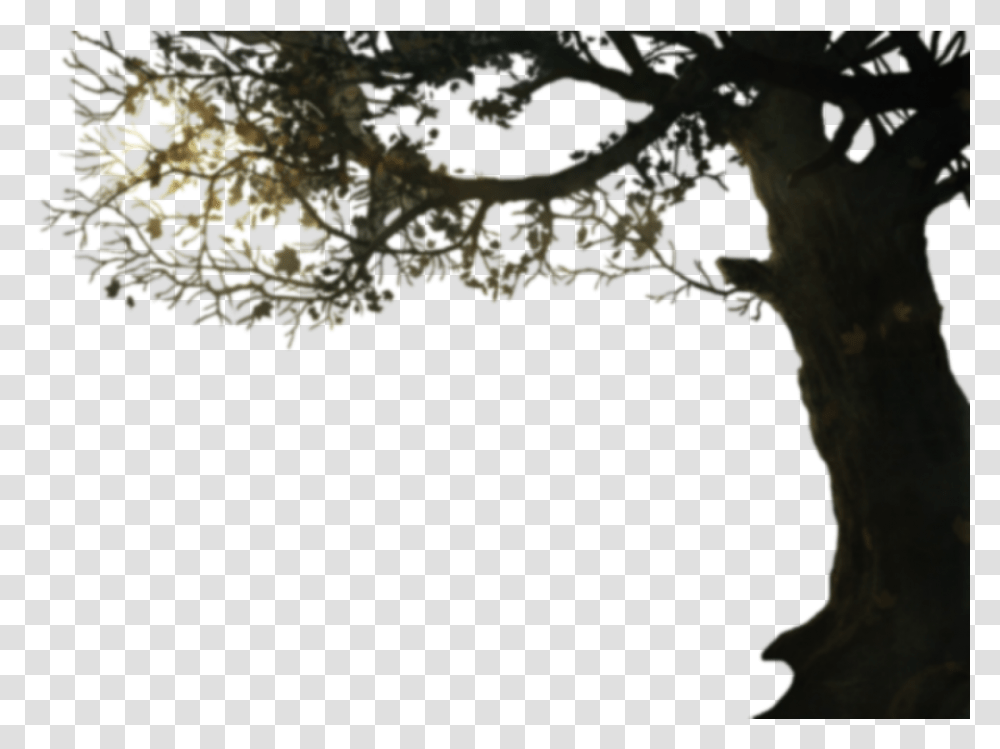 Tree With Branches, Nature, Land, Outdoors, Diagram Transparent Png