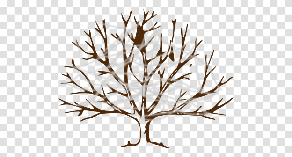 Tree With Cobwebs Clip Art, Plant, Leaf, Wood, Ornament Transparent Png