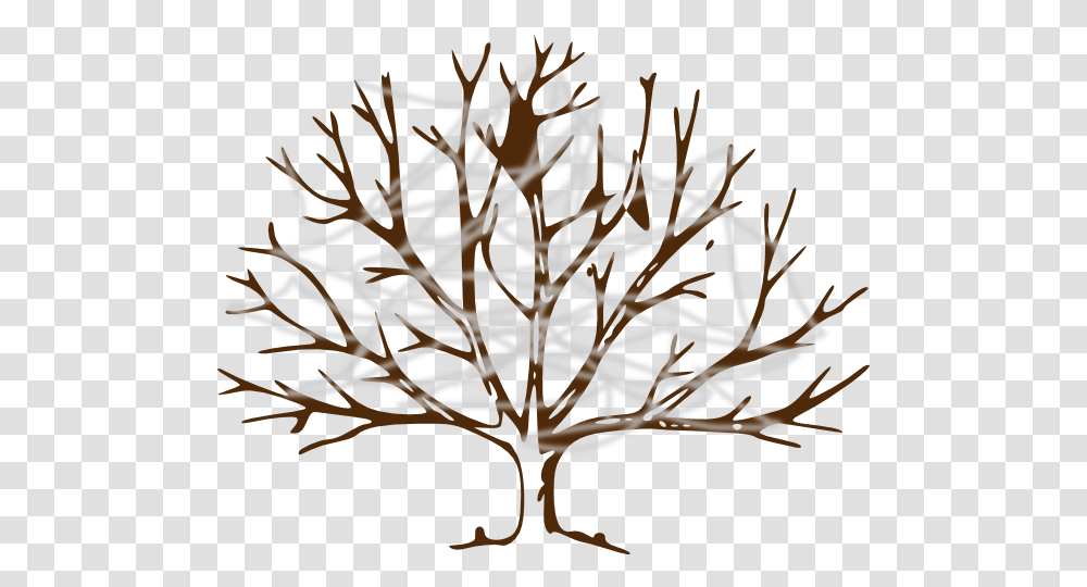 Tree With Cobwebs Clip Art Vector Clip Art Branch Tree Drawing, Leaf, Plant, Text, Accessories Transparent Png