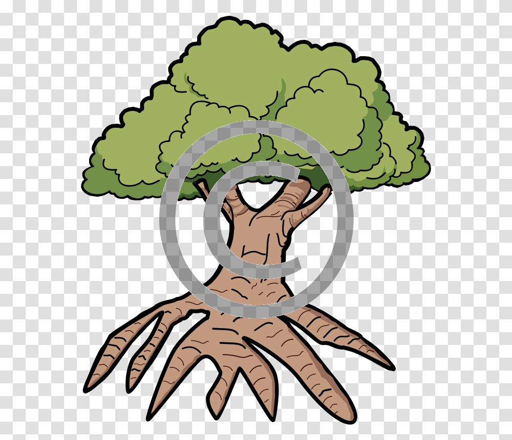 Tree With Long Roots Clipart Oak Tree, Plant, Hand, Person, Human Transparent Png