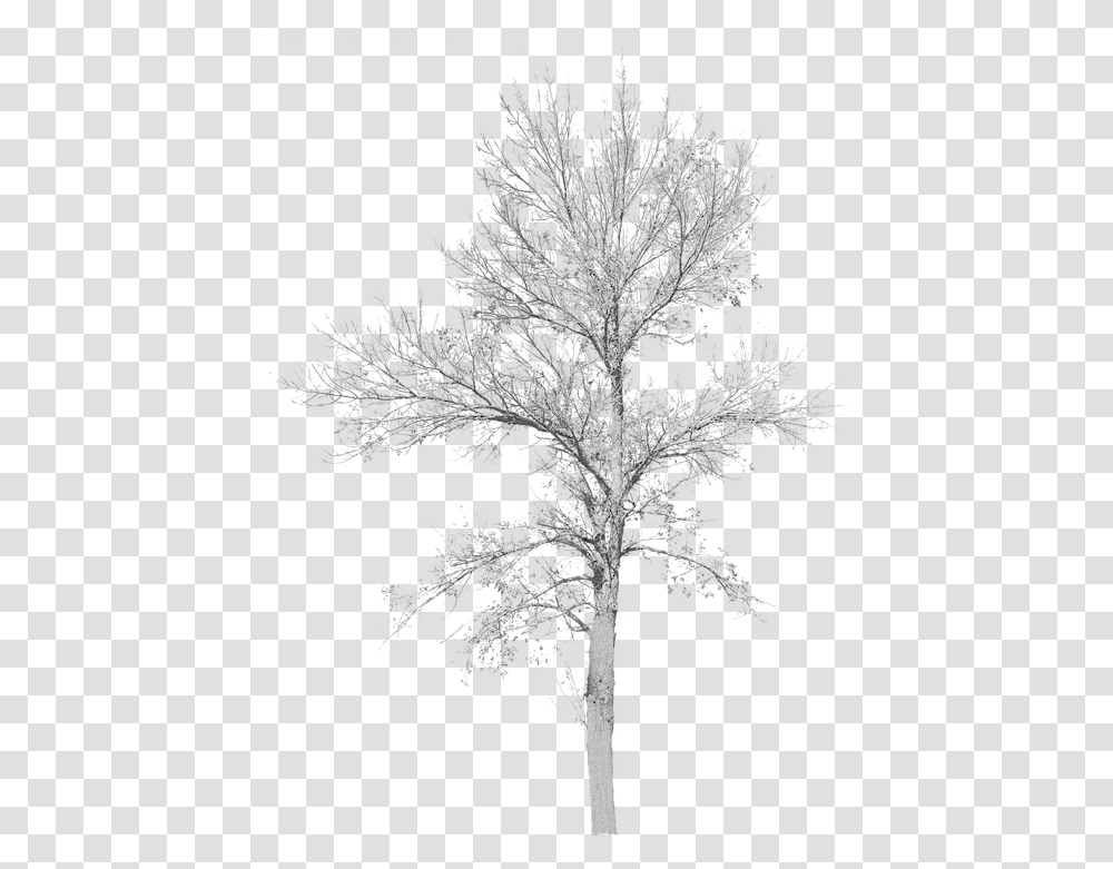 Tree With No Leaves Cut Out Tree No Leaves, Cross, Symbol, Snowflake, Plant Transparent Png