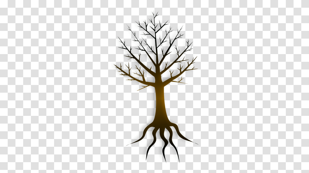Tree With Root, Plant, Tree Trunk, Silhouette, Flare Transparent Png
