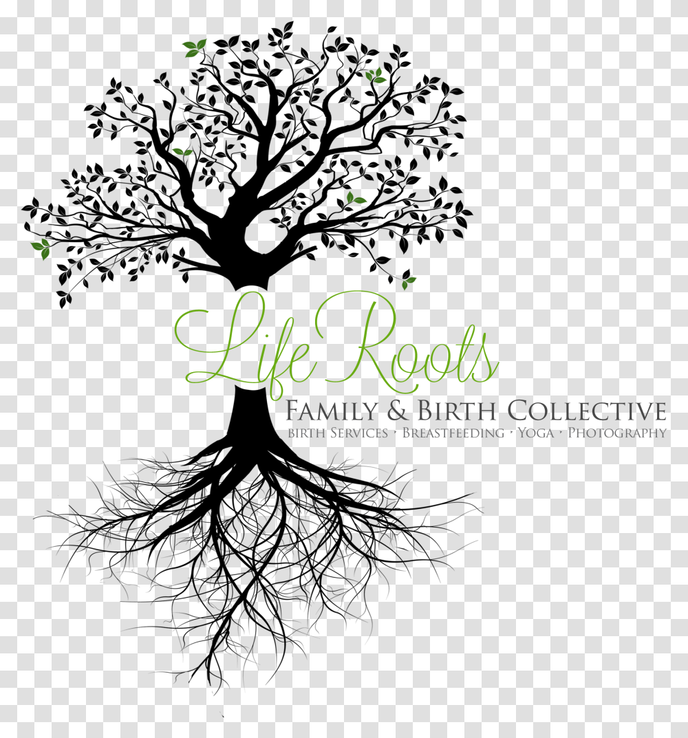 Tree With Roots Background Clipart Realistic Tree Roots Drawing, Green, Light, Alphabet Transparent Png