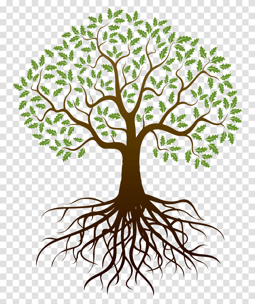 Tree With Roots Background Tree Roots Background, Plant, Cross, Symbol, Bonsai Transparent Png