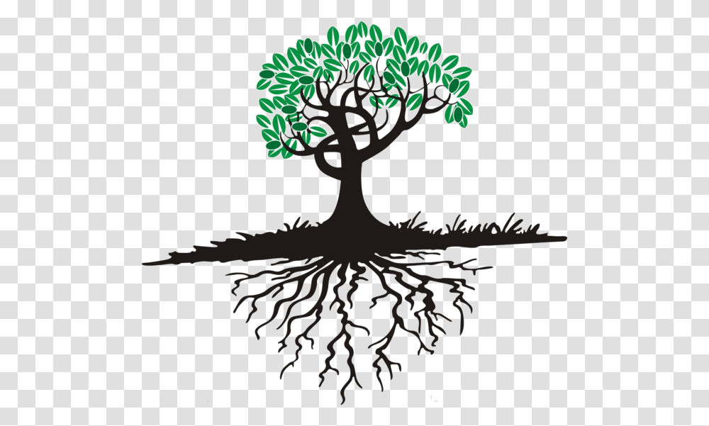 Tree With Roots Cartoon, Plant Transparent Png