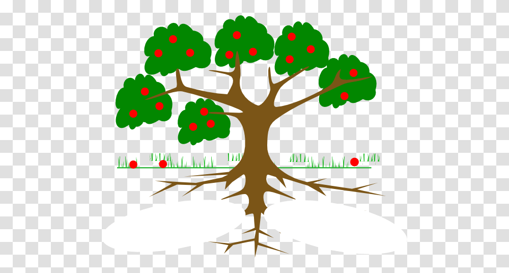 Tree With Roots Clipart Outline, Plant Transparent Png