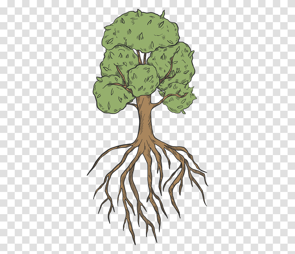 Tree With Roots Clipart, Plant, Painting Transparent Png