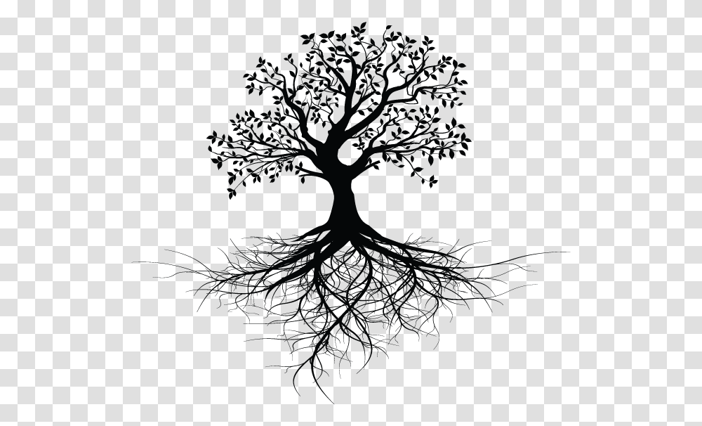 Tree With Roots Design, Plant, Flower, Blossom, Cat Transparent Png