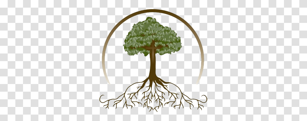 Tree With Roots, Plant, Lamp Transparent Png
