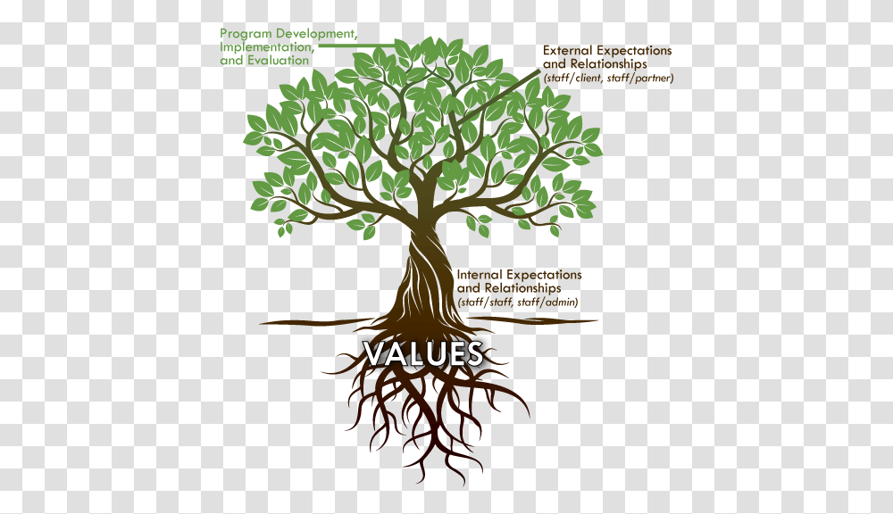 Tree With Roots, Plant, Tree Trunk, Poster, Advertisement Transparent Png