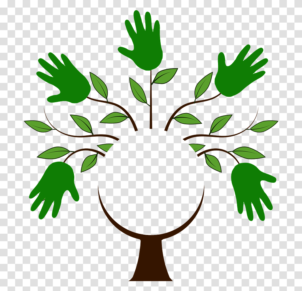 Tree With Seven Branches, Leaf, Plant, Green Transparent Png